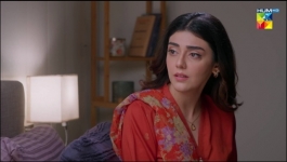 Pehli Mohabbat - Episode 17 - 19th April 2025